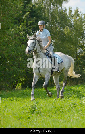 Reiter auf der Rückseite eine "Selle Français" (französische Warmblut Pferd) Reiten im Sommer Stockfoto