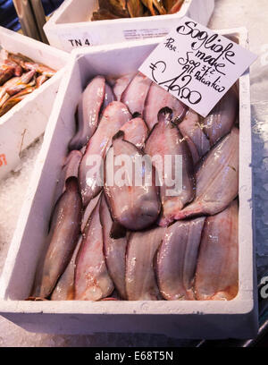 Box mit Fisch zum Verkauf auf dem Markt Mercato di Rialto, Venedig, Italien. Stockfoto