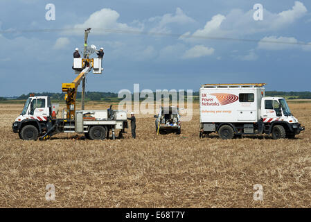 UK Power Networks Wartungsarbeiten auf ländliche Stromleitungen, Bawdsey Fähre, Suffolk, UK. Stockfoto