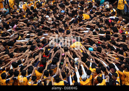 Mumbai, Indien. 18. August 2014. Indische Jugend bilden eine menschliche Pyramide "Dahi Handi', einen irdenen Topf gefüllt mit Quark, in Mumbai, Indien, 18. August 2014 zu brechen. Dahi Handi ist ein Indianerfest anlässlich die Geburt des Hindu-Gottes Lord Krishna. Bildnachweis: Stringer/Xinhua/Alamy Live-Nachrichten Stockfoto