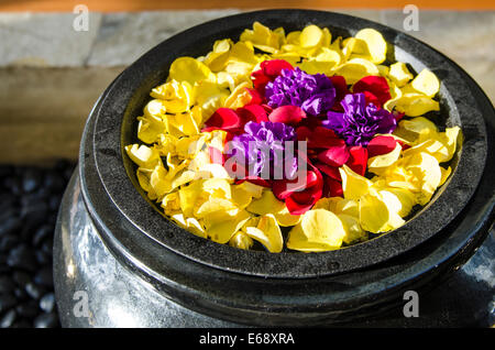 Blütenpracht in der Lobby des Dusit Thani Hotel, Dubai, Vereinigte Arabische Emirate VAE. Stockfoto