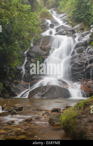 Nebelwald Wasserfall, La Amistad International Park, Panama. Stockfoto