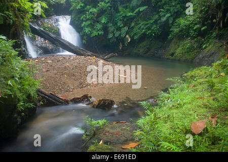 Tropischer Wasserfall, Corcovado Nationalpark, Costa Rica. Stockfoto