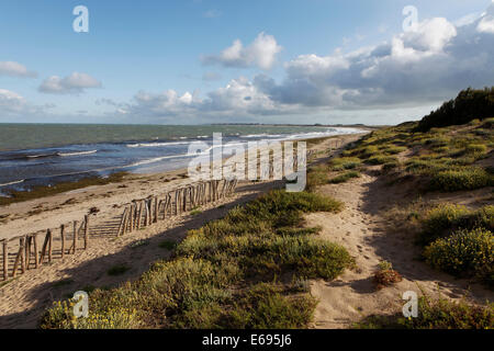 Küstenlandschaft, Île d'Oléron, Charente-Maritime, Frankreich Stockfoto