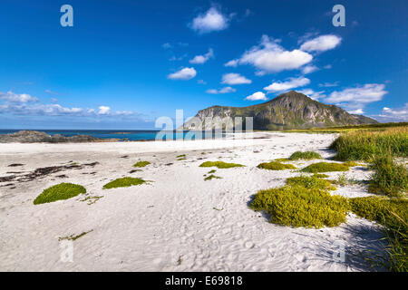 Strand in der Nähe von Flakstad, Flakstadoya, Lofoten, Nordland, Norwegen Stockfoto