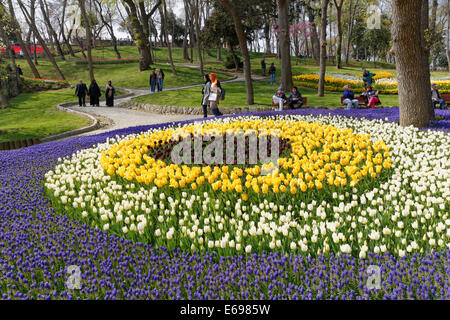 Tulpen und Traubenhyazinthen in Beeten, Tulip Festival, Emirgan Park, Emirgan Korusu, Emirgan, Istanbul, europäische Seite Stockfoto