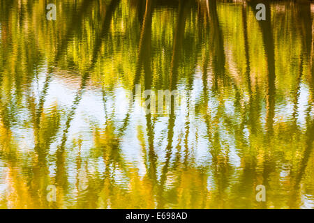 Palmen, zum Ausdruck kommt in der Hopeaia Fischteich, Mauna Lani, Kohala Coast, Big Island, Hawaii, USA Stockfoto