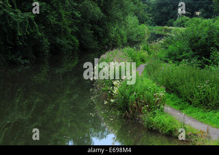 Basingstoke Kanal in der Nähe von Dogmersfield UK Stockfoto