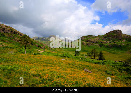 Langdale Pikes aus Blea Tarn zwischen Great Langdale und schönen Bergen wenig Langdale Seenplatte Cumbria England UK Stockfoto