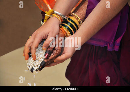 Gaijatra Homa Hochzeit Ritual Ritus des Werfens Reis Flocken in Opferfeuer Pune, Maharashtra Stockfoto