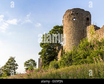 Ludlow Castle, Shropshire, England, UK mit Rosebay Weidenröschen Chamerion angustifolium Stockfoto