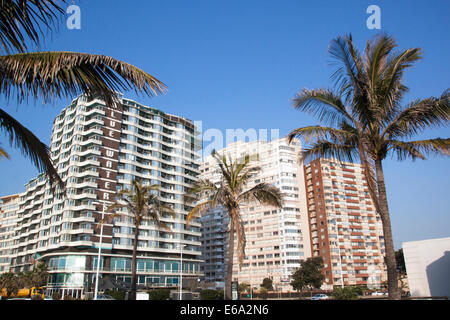 DURBAN, Südafrika - 23. Juli 2014: Blick auf Palmen vor goldenen Meile vorderen Strandhotels in Durban in Südafrika Stockfoto