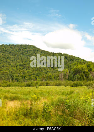 Lewey See im Adirondack State Park, New York Stockfoto