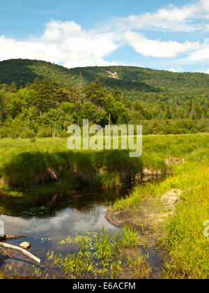 Lewey See im Adirondack State Park, New York Stockfoto