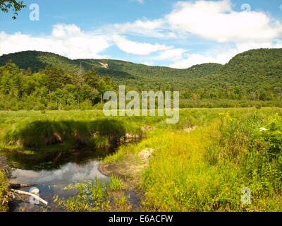 Lewey See im Adirondack State Park, New York Stockfoto