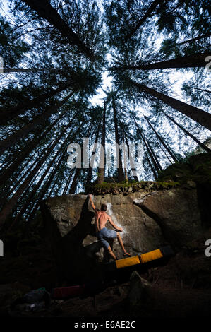 Bouldern im Magic Wood, Schweiz. Magische Holz ist eines der besten Bouldern-Reiseziele der Welt. Stockfoto