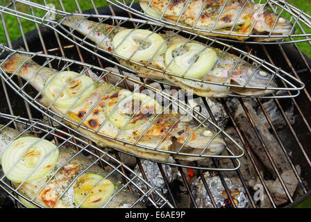 Forelle, Grill-Fisch, Fisch grillen Stockfoto