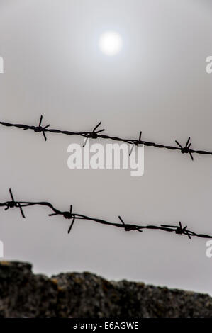 Stacheldraht Stockfoto