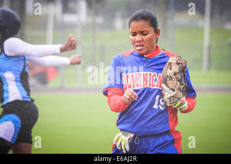 Haarlem, Niederlande. 17. August 2014. Weltmeisterschaft Softball, Haarlem, NL Bilder auf Sonntag, 17. August 2014 Credit: Jan de Wild/Alamy Live News Stockfoto