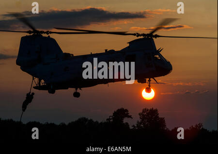 Ein US-Marine, Echo Company, 4. Reconnaissance Battalion zugewiesen schnell Seile aus dem CH-46E Sea Knight Helikopter am Camp Upshur, Marine Corps Base (MCB) Quantico, VA., 17. Juli 2014. Die Veranstaltung war Teil einer einwöchigen Reihe von springen, Tauchen, Verletzung und s Stockfoto