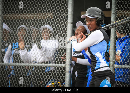 Haarlem, Niederlande. 17. August 2014. Weltmeisterschaft Softball, Haarlem, NL Bilder auf Sonntag, 17. August 2014 Credit: Jan de Wild/Alamy Live News Stockfoto