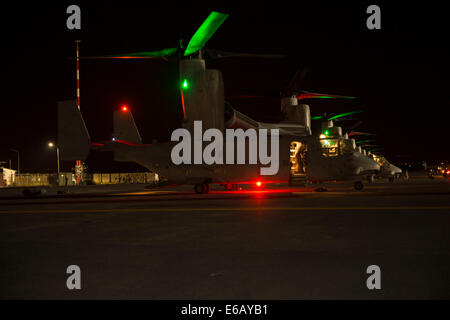 U.S. Marine Corps MV-22 Osprey Tiltrotor Flugzeug zugewiesenen besonderen Zweck Marine Air-Ground Task Force Reaktion auf die Krise vorbereiten, vom Naval Air Station Sigonella, Italien, 26. Juli 2014, abzuweichen, um eine Militär-gestützte Abkehr von ap zu unterstützen Stockfoto