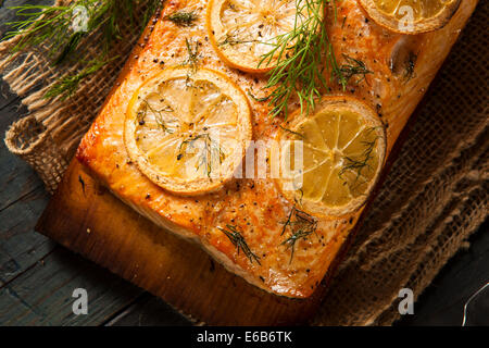 Hausgemachte gegrillter Lachs auf einem Brett Zeder mit Dill Stockfoto