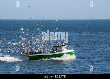 Angelboot/Fischerboot, die Rückkehr in den Hafen gefolgt von hungrigen Möwen Stockfoto