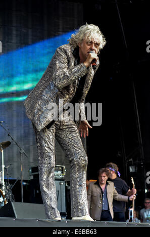 Sir Bob Geldof mit seiner Band The Boomtown Rats die live Rewind Festival im Süden... auf Sonntag, 17. August 2014 Stockfoto