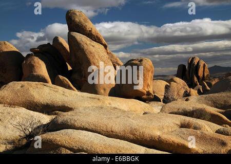 Arch Rock Trail, Joshua Tree Nationalpark, Kalifornien, USA Stockfoto