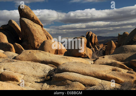 Arch Rock Trail, Joshua Tree Nationalpark, Kalifornien, USA Stockfoto