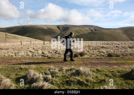 Ein Walker auf Clennell Straße in der Cheviots, in der Nähe von Cocklawfoot in den Scottish Borders. Zeigt auch die Route der Pennine Way Stockfoto