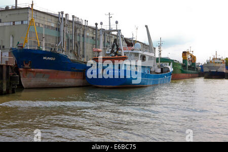 Costal Frachter und ein Schleppnetzfischerei Fischer auf einer Werft am Fluss Nieuwe Maas, Rotterdam, Südholland, Niederlande Stockfoto