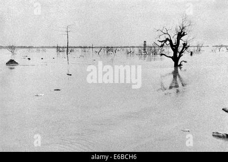 zerstörten Dorf begraben unter einem Meer von heißen Schlamm nach der Katastrophe in Lapindo Sidoarjo Ost Java Indonesien Stockfoto