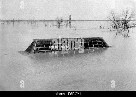 zerstörten Dorf begraben unter einem Meer von heißen Schlamm nach der Katastrophe in Lapindo Sidoarjo Ost Java Indonesien Stockfoto