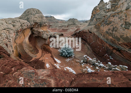Vermillion Cliffs und Snow White Pocket, Vermillion Cliffs National Monument, Arizona Stockfoto