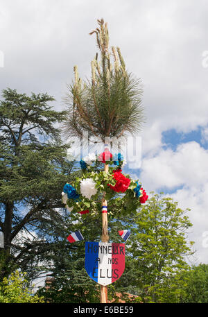 Plantation du Mai oder Baum von Mai Feier zu Ehren der Mandatsträger Sanguinet, Aquitaine, Frankreich, Europa Stockfoto