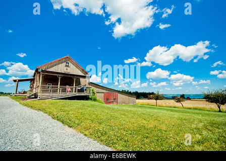 Weingut im Bundesstaat New York. Region der Finger Lakes. Stockfoto