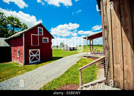 Weingut im Bundesstaat New York. Stockfoto