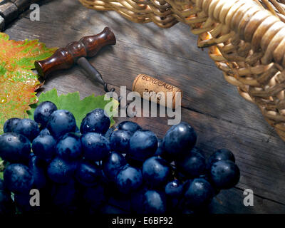 Merlot Trauben Weinkeller Situation mit Traubenpflücker Korb dunkel Trauben Korkenzieher und Bordeaux 2013 Kork auf Weinfass Stockfoto