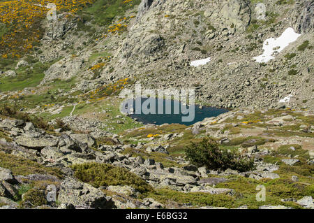 See im Berg von Madrid, Laguna Grande de Peñalara Stockfoto