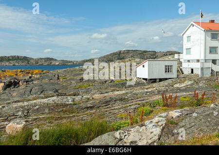 Leben an der felsigen Küste von den schwedischen Schären, auf der Insel Åstol, Bohuslän, Västra Götaland Iän, Schweden. Stockfoto