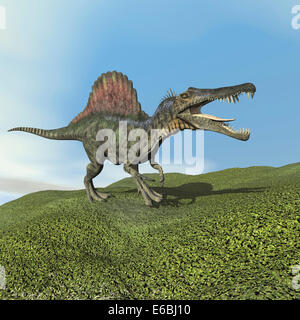 Spinosaurus Dinosaurier zu Fuß auf dem Rasen. Stockfoto