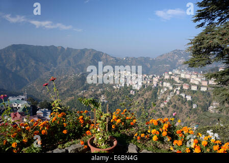 Morgen Blick über einen Teil der Shimla Vororte auf den Ausläufern des Himalaya in Himachal Pradesh, Indien. Stockfoto