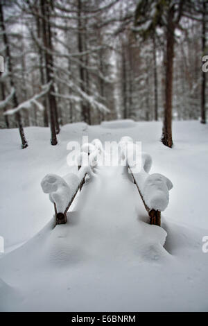 Schneebedeckte Brücke ins Nirgendwo.  Kleine Brücke in den Wald nach schweren Schneefall in den Schweizer Alpen Stockfoto