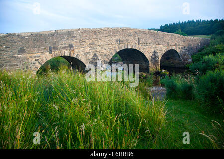 Historische Brücke in Lastesel Postbridge Dartmoor Devon England Überquerung des Flusses East Dart Stockfoto