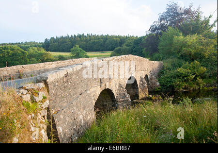 Historische Brücke in Lastesel Postbridge Dartmoor Devon England Überquerung des Flusses East Dart Stockfoto