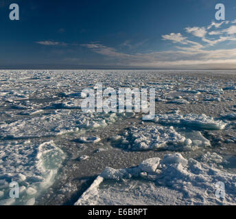 Eisschollen, Rand des Packeises, Nordpolarmeer, Spitzbergen, Svalbard-Inseln, Svalbard und Jan Mayen, Norwegen Stockfoto