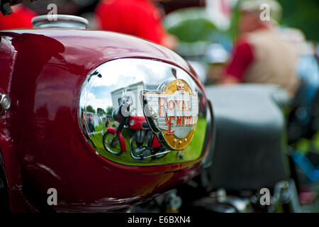 Nahaufnahme des Emblems auf einem Royal Enfield Motorrad Benzintank England UK Vereinigtes Königreich GB Großbritannien Stockfoto