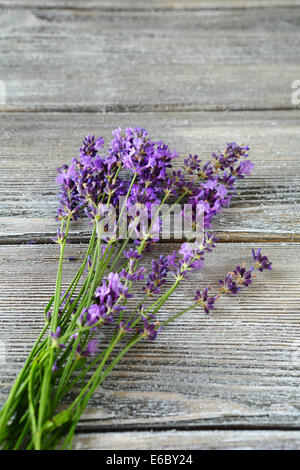 Bündel von Lavendel auf grauen Brettern, Blumen Stockfoto